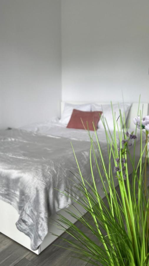 Apartamenty Izabell By Housine Zator Exterior photo